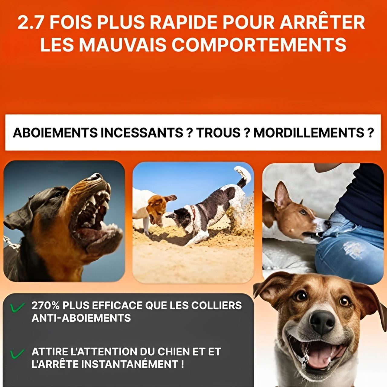 Anti Aboiement Pour Chien à Ultrasons