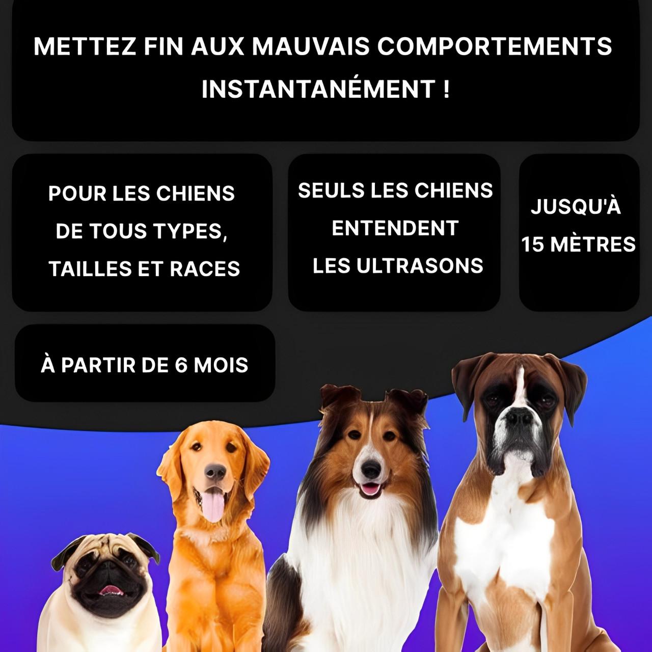 Anti Aboiement Pour Chien à Ultrasons