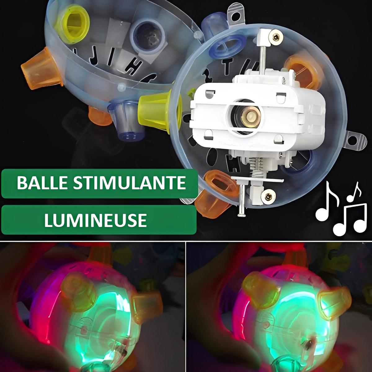 Balle Pour Chien Interactive