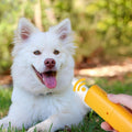 Boitier Anti-aboiement Pour Chien