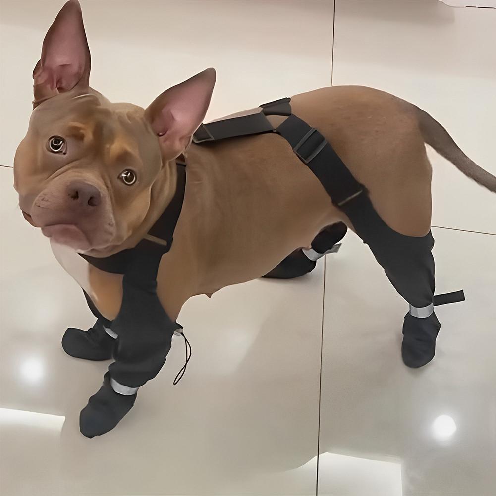 Bottes Pour Chien Imperméables