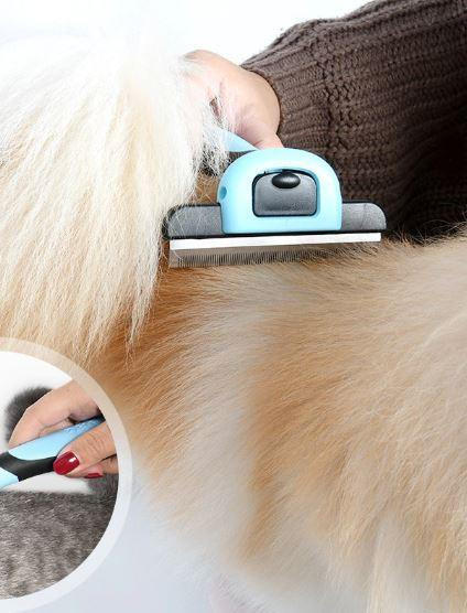 Brosse anti-poil