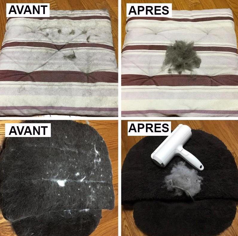 Brosse Anti-poils d’Animaux Domestiques
