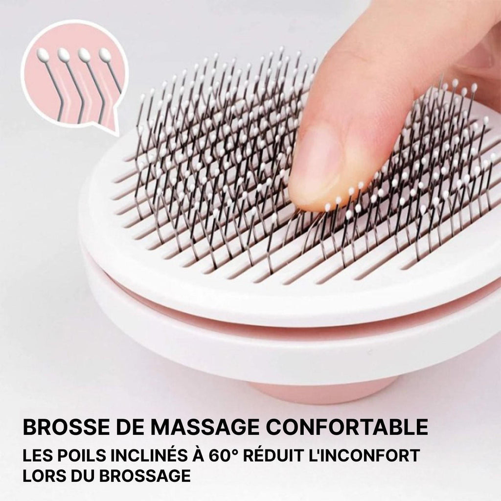 Brosse Magique Pour Chien Et Chat