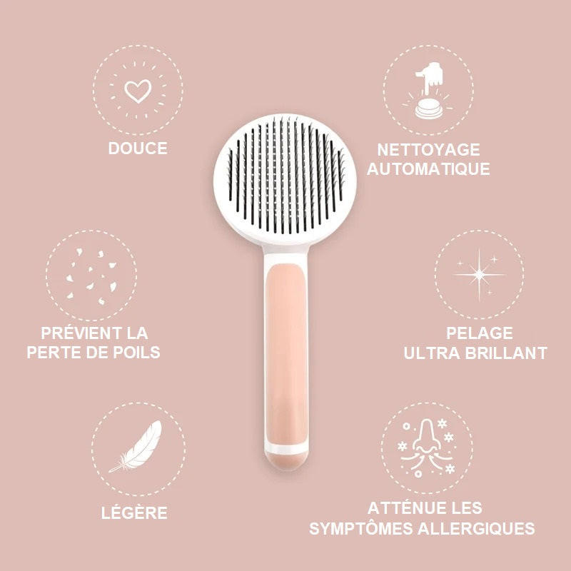 Brosse Magique Pour Chien Et Chat