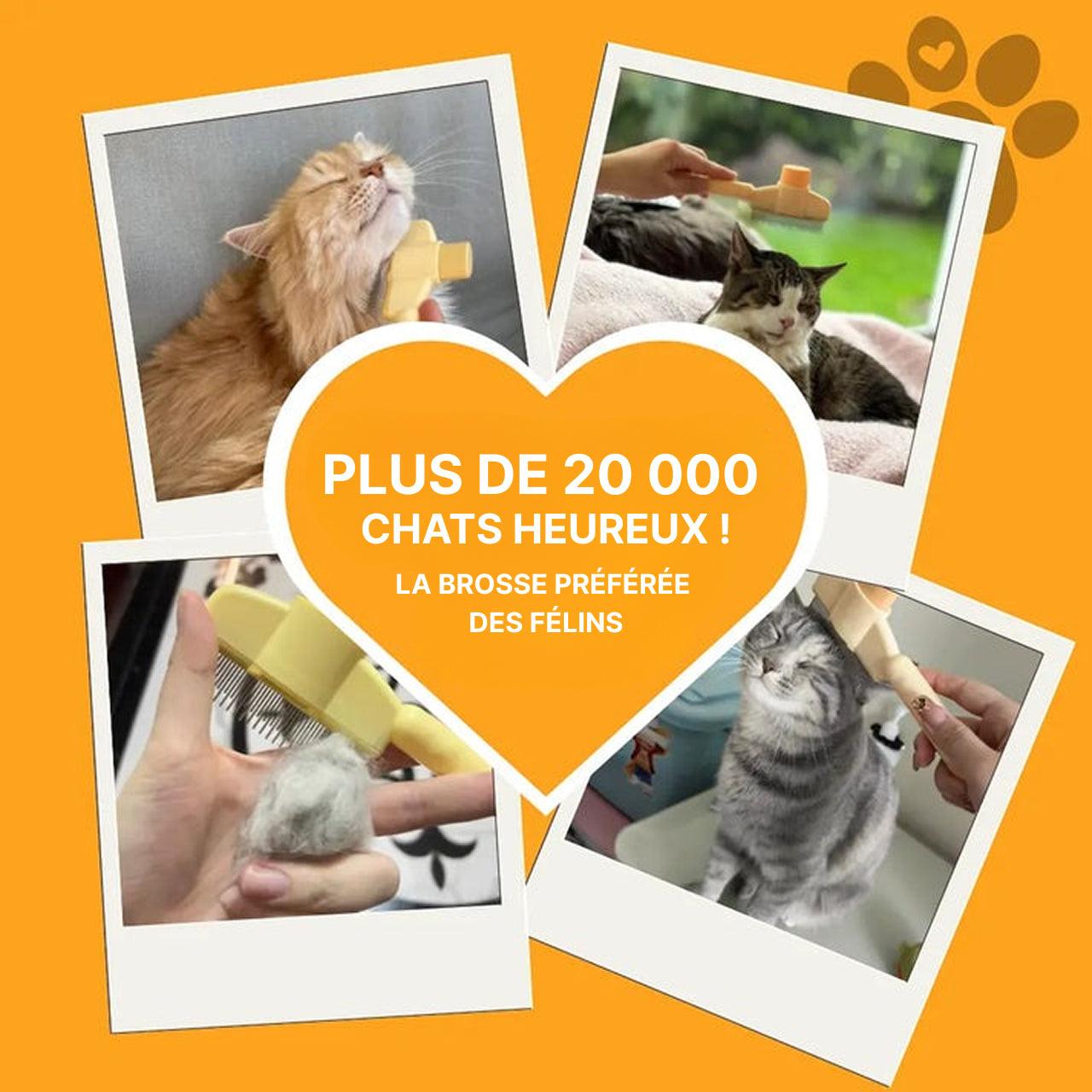 Brosse Pour Chat à Poils Longs - Courts Et Épais