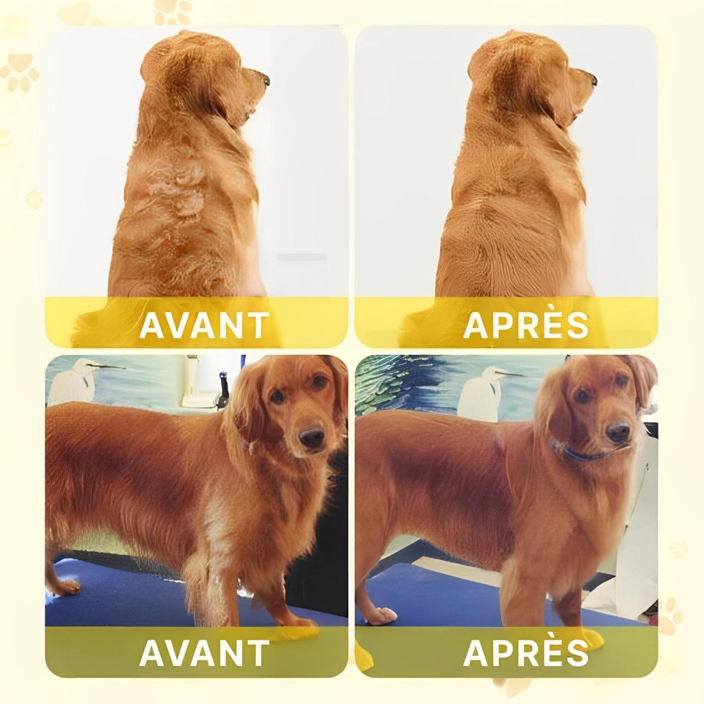 Brosse Pour Chat Et Chien à Vapeur