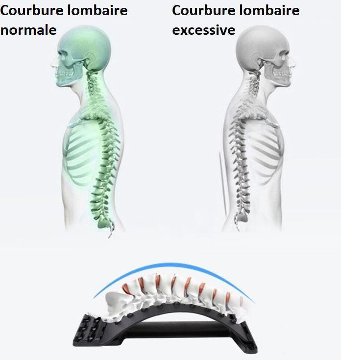 Civière Dorsale Orthopédique