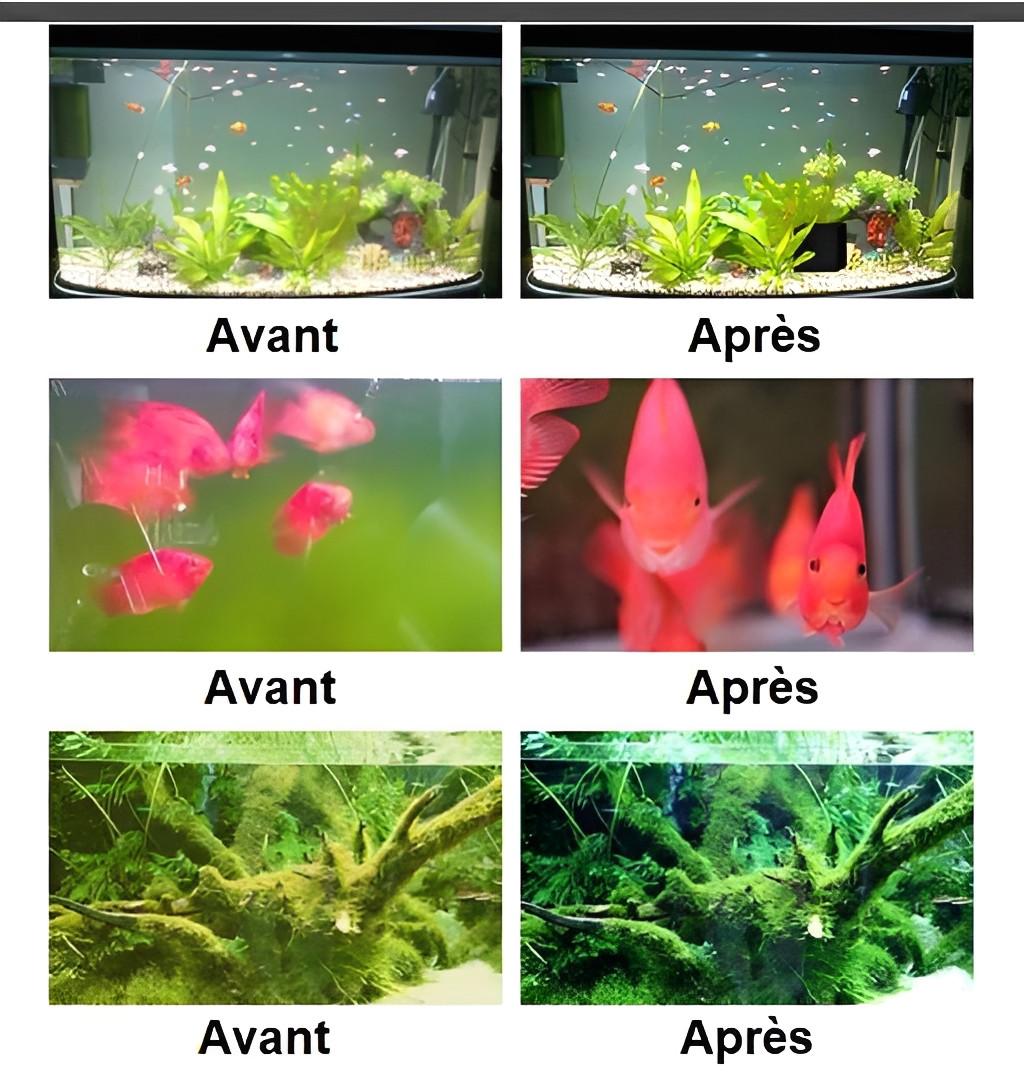 Cube Purificateur d'Eau Eco-Aquarium