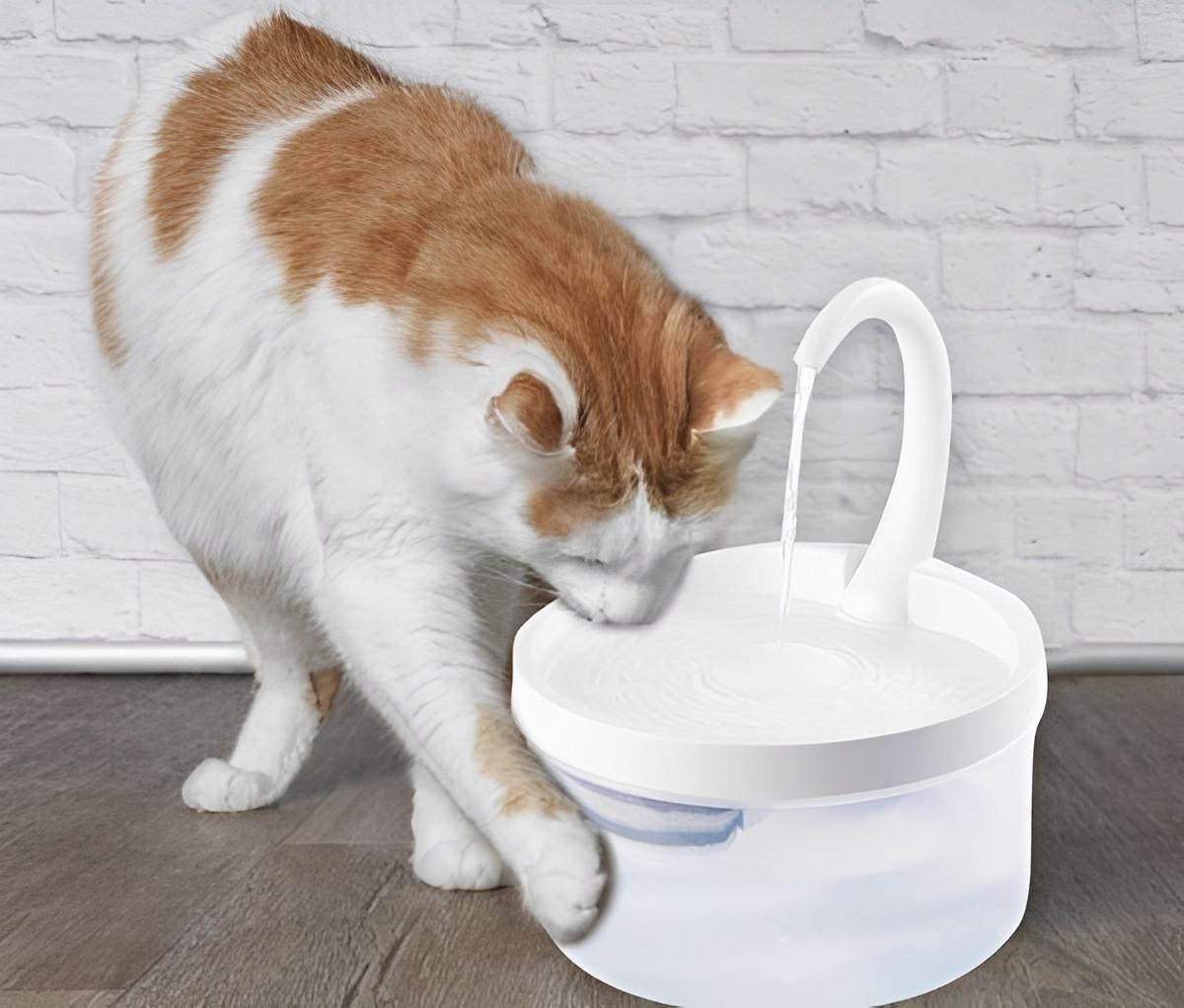 Fontaine à Eau Pour Chat - CatCaire™