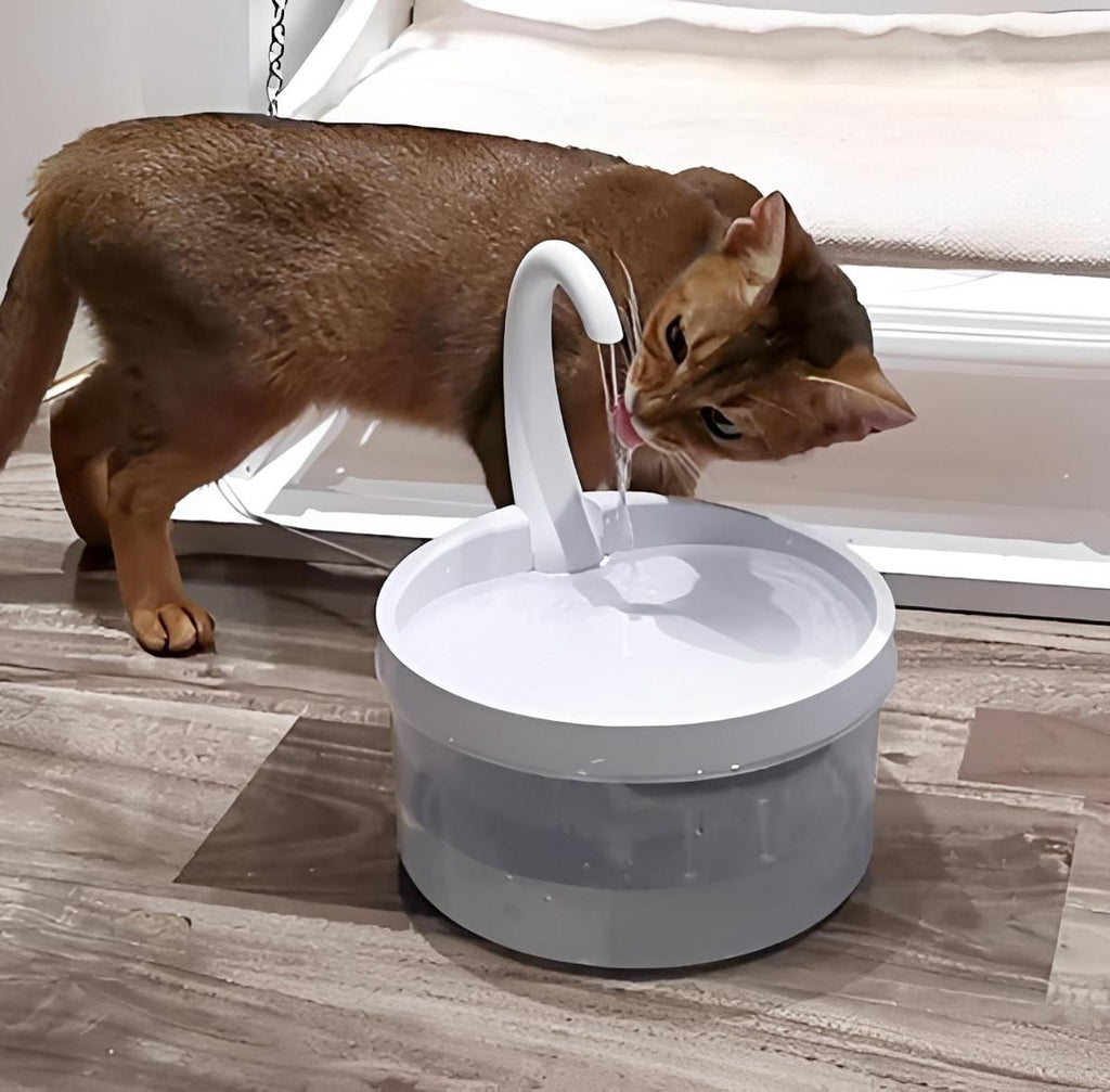 Fontaine à Eau Pour Chat - CatCaire™