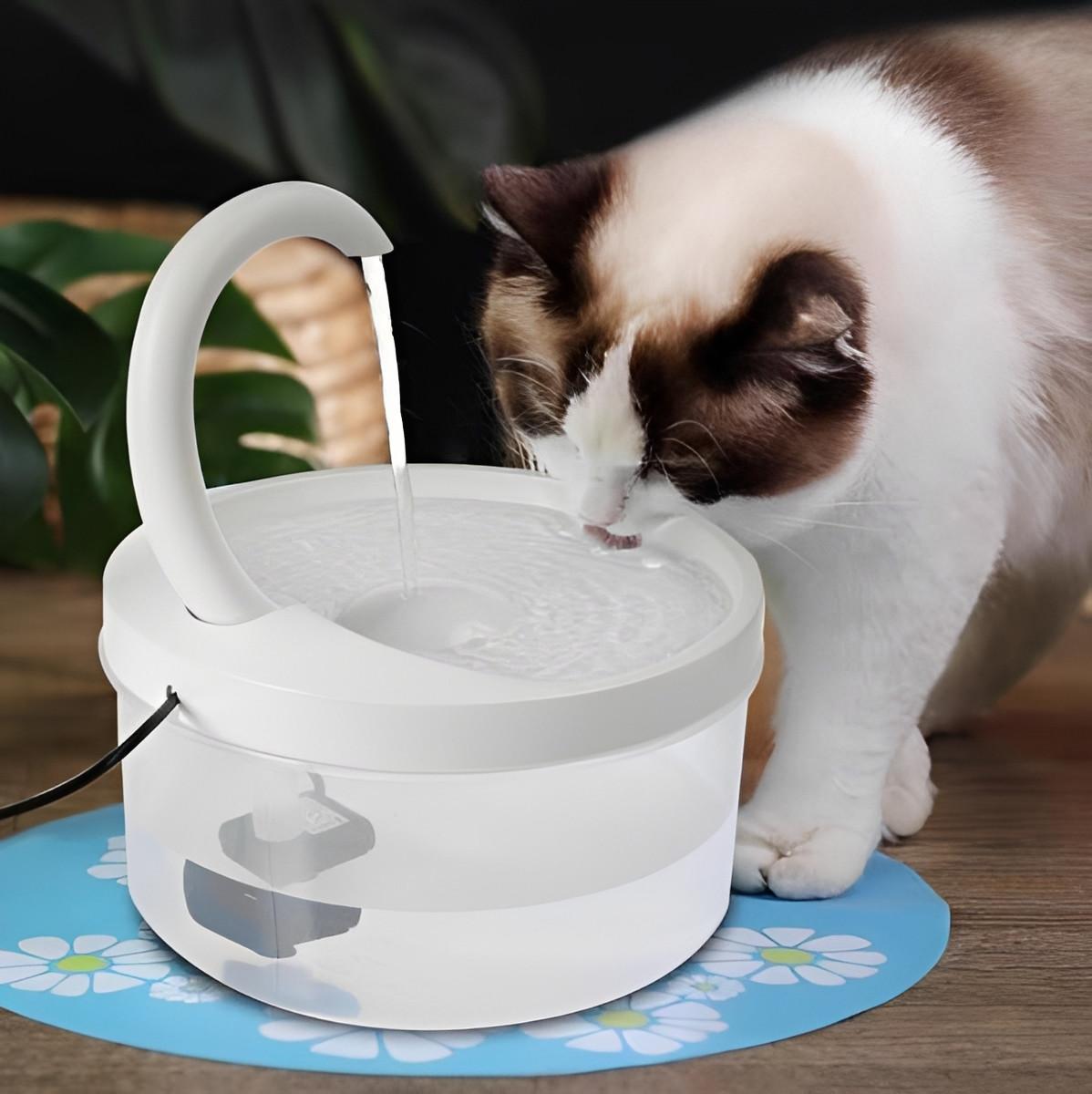 Fontaine à Eau Pour Chat - CatCaire™