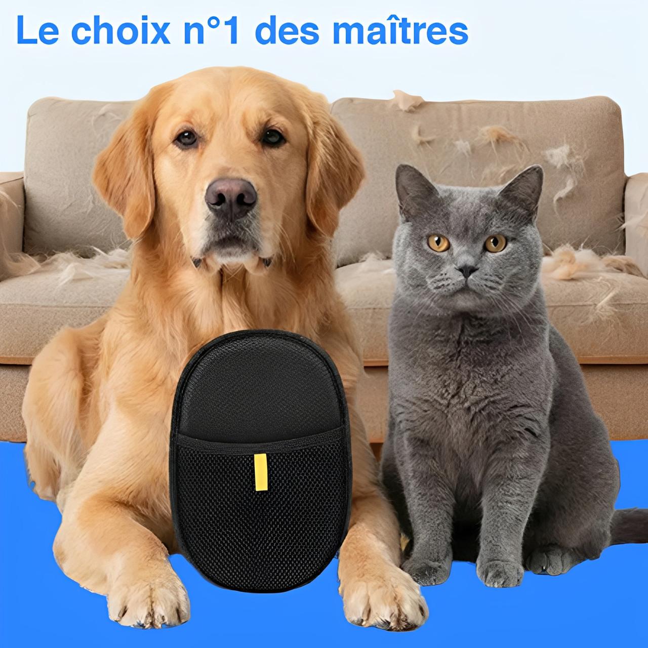 Gant De Toilettage Pour Chat Et Chien