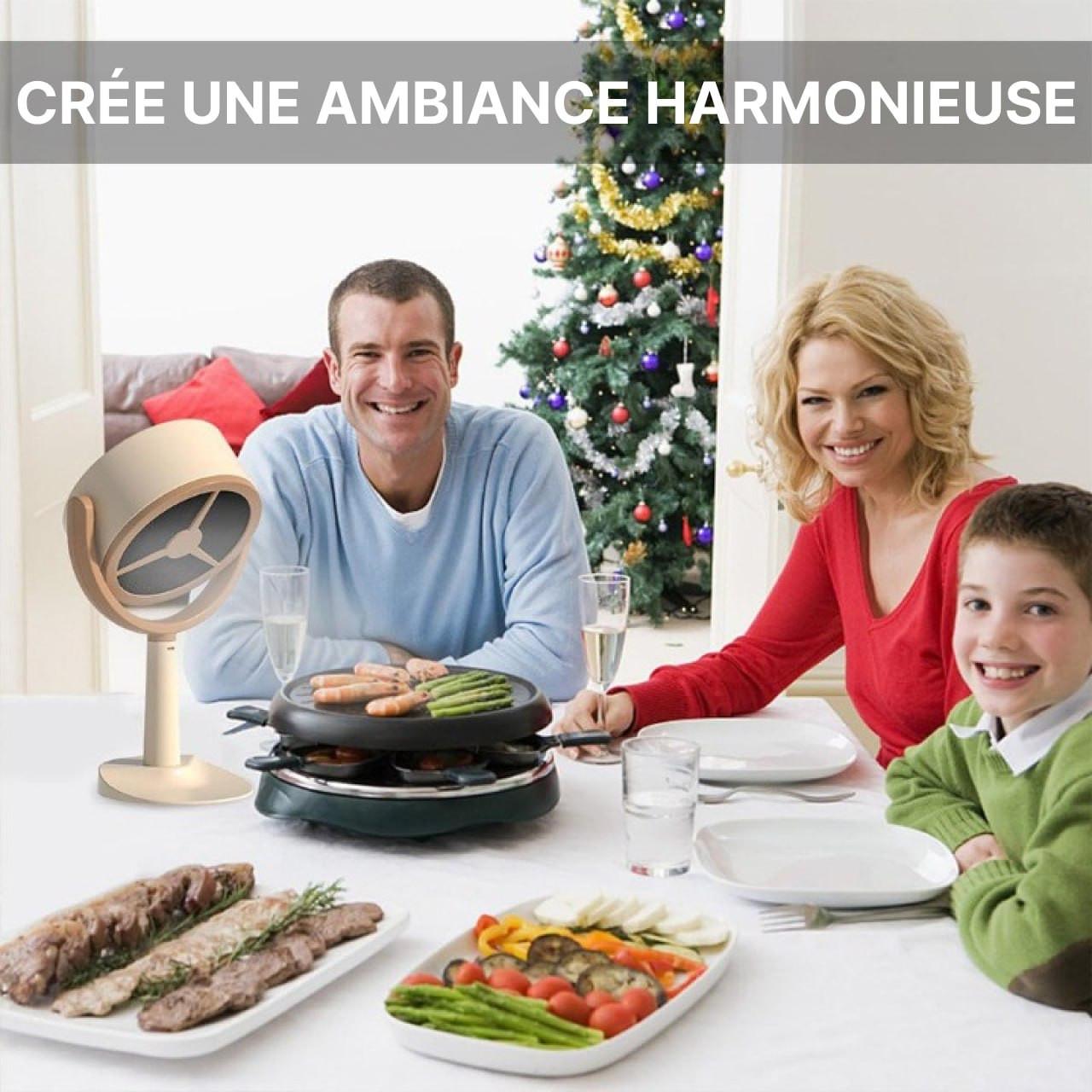 Hotte De Cuisine Portable