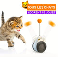 Jouet Interactif à Roulettes Pour Chat