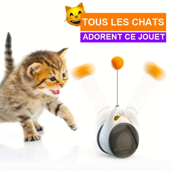 Jouet Interactif à Roulettes Pour Chat