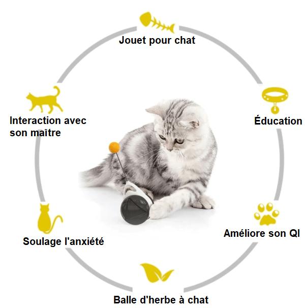 Jouet Interactif à Roulettes Pour Chat