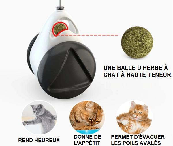 Jouet Interactif à Roulettes Pour Chat