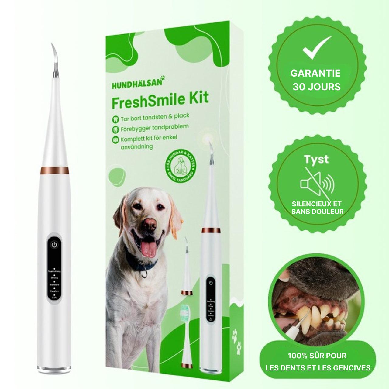 Kit De Nettoyage Dentaire Pour Chien