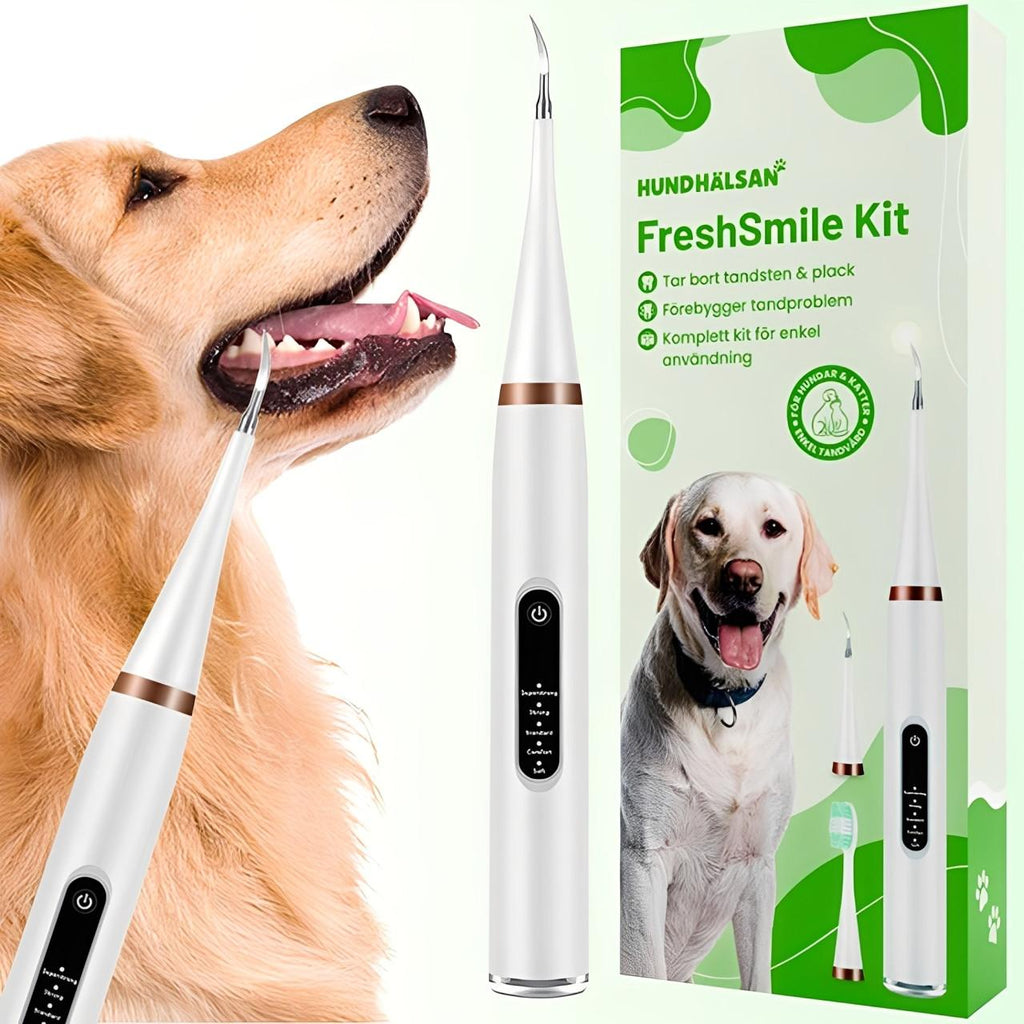 Kit De Nettoyage Dentaire Pour Chien