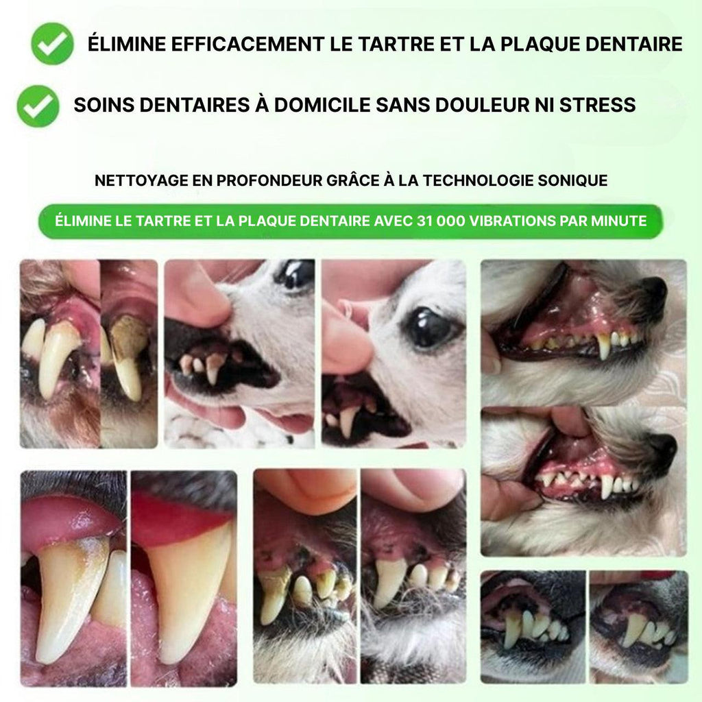 Kit De Nettoyage Dentaire Pour Chien