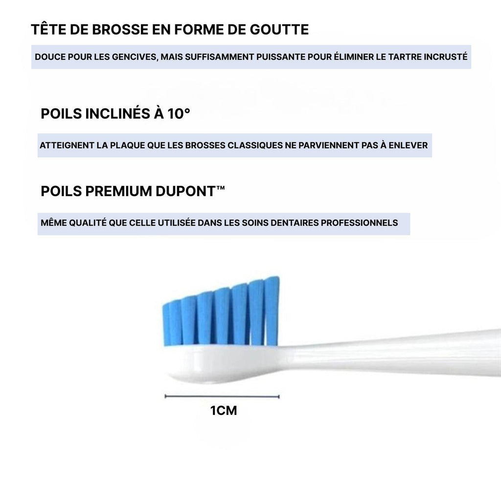 Kit De Nettoyage Dentaire Pour Chien