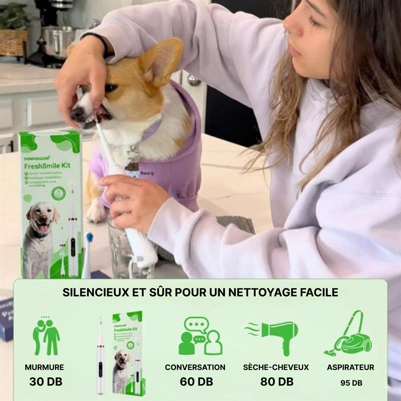 Kit De Nettoyage Dentaire Pour Chien