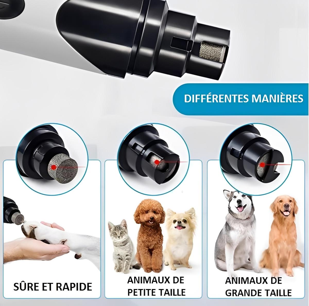 Lime à Ongles Électrique Pour Chien - PetNails™