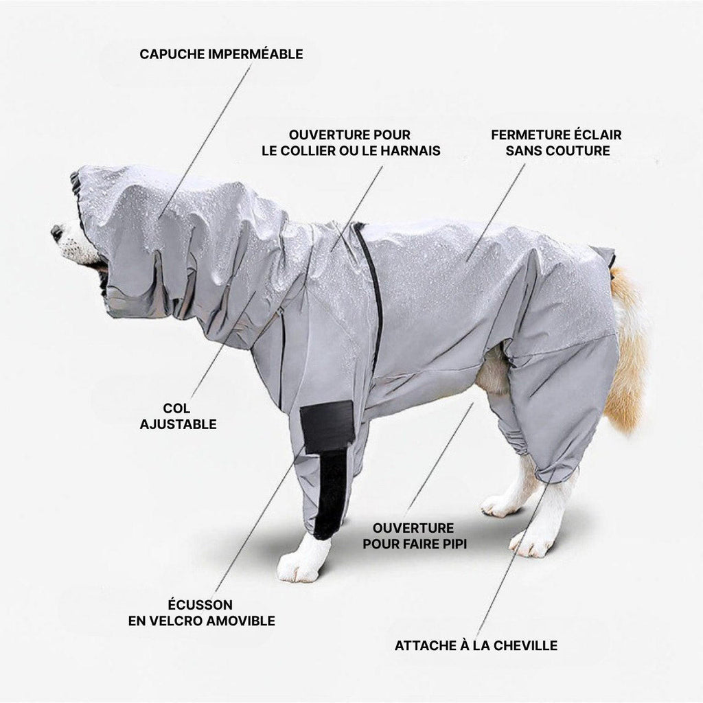 Manteau Imperméable Pour Chien