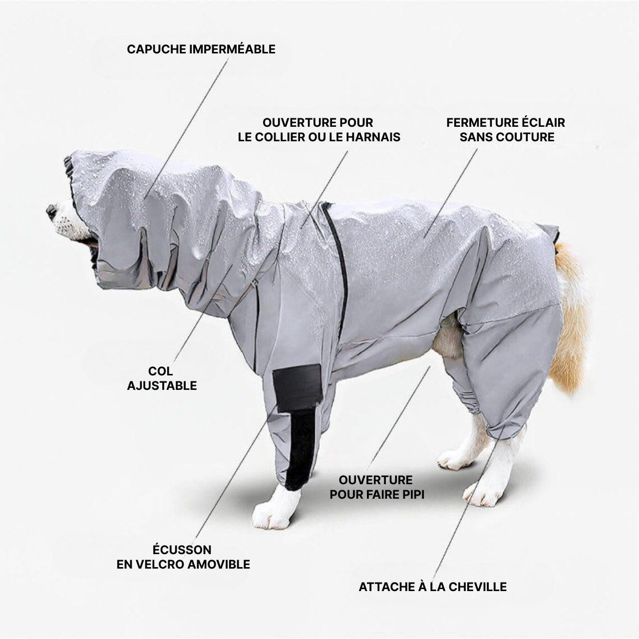 Manteau Imperméable Pour Chien