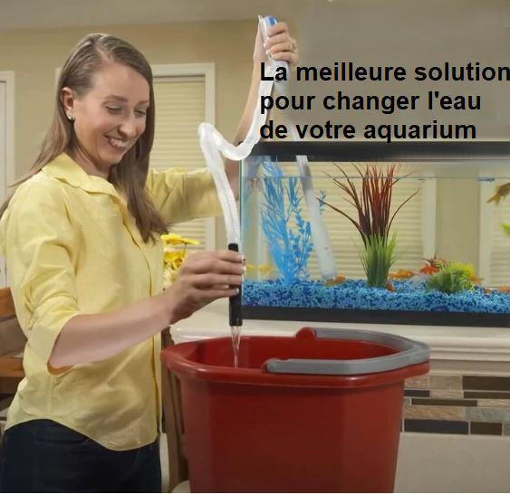 Pompe De Transfert De Liquide Electrique