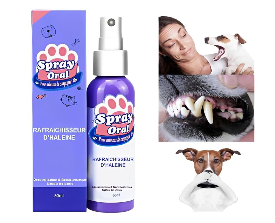Rafraîchisseur d'Haleine pour chien