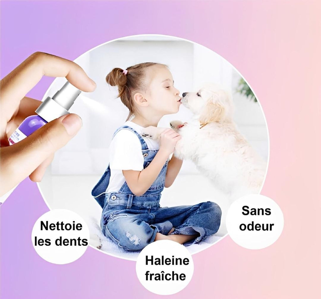 Rafraîchisseur d'Haleine pour chien