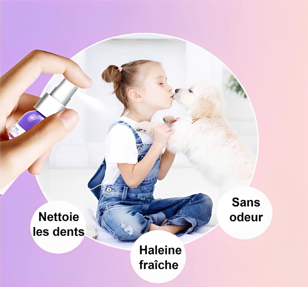 Rafraîchisseur d'Haleine pour chien