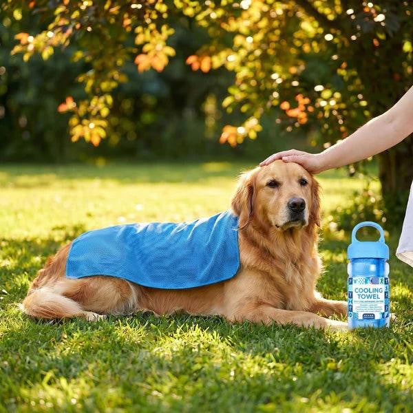 Serviette Rafraîchissante Douce, Réutilisable Et Absorbante