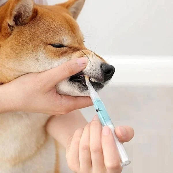 Stylo Nettoyant Dent Pour Chien