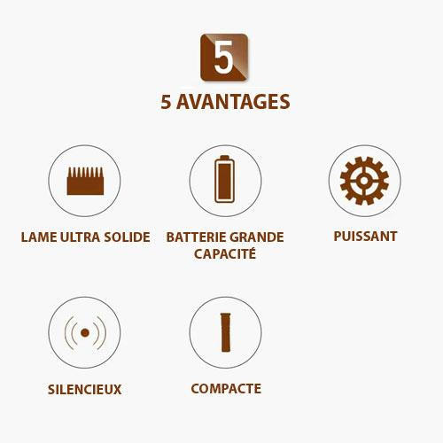Tondeuse Électrique Sans Fil