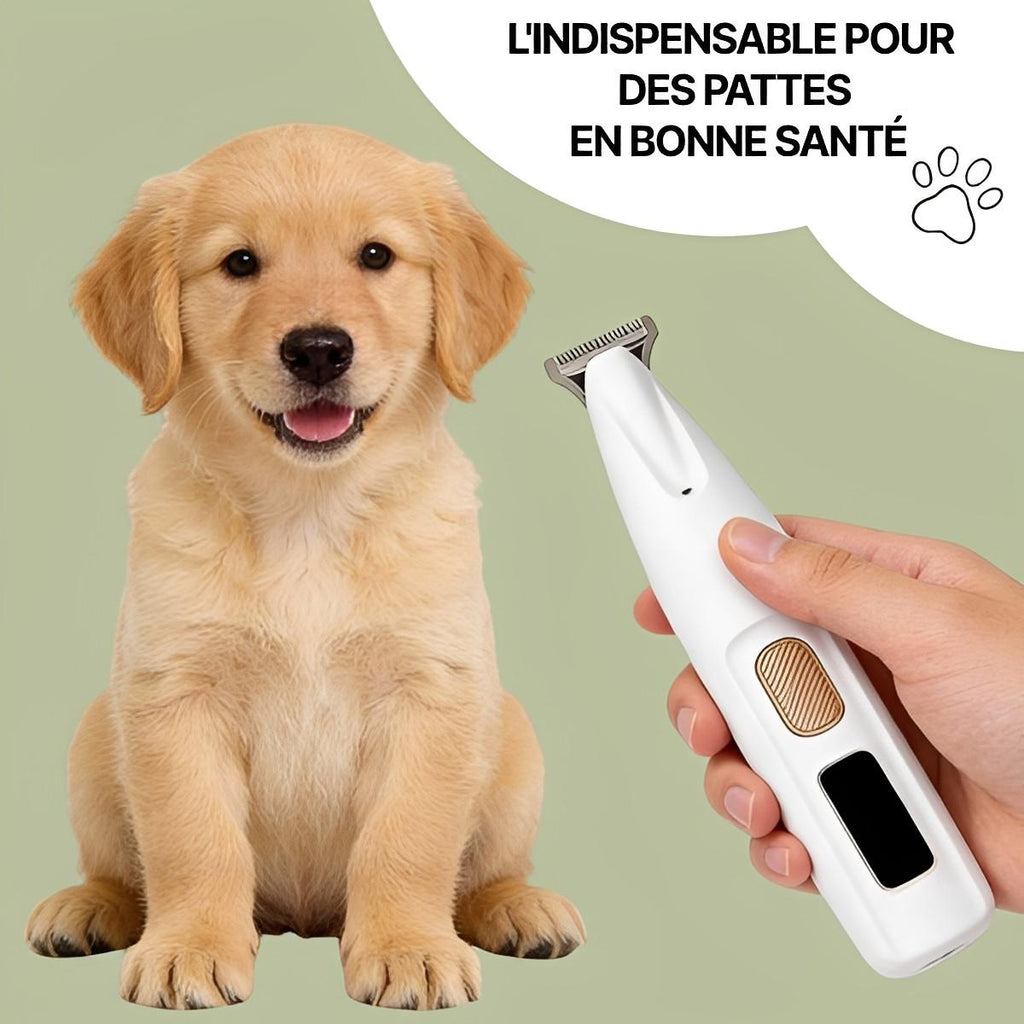 Tondeuse Pour Pattes De Chien Électrique Silencieuse