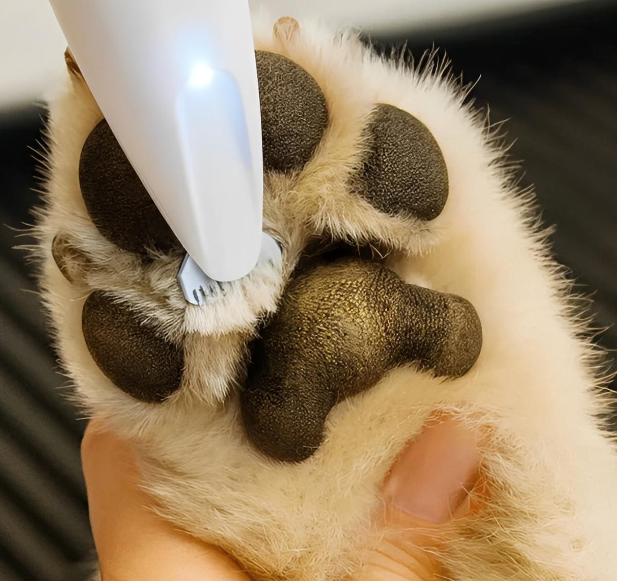 Tondeuse Pour Pattes De Chien Électrique Silencieuse