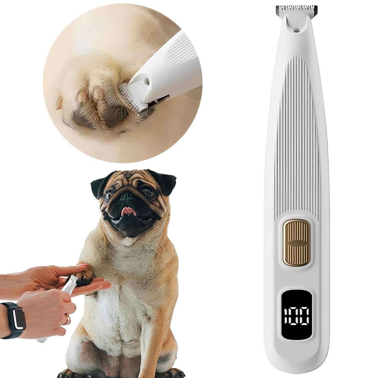 Tondeuse Pour Pattes De Chien Électrique Silencieuse